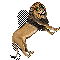 Lion.png